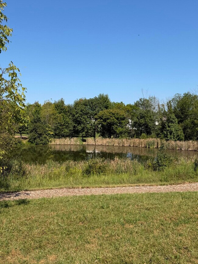 Building Photo - 3288 Sweet Clover Ln