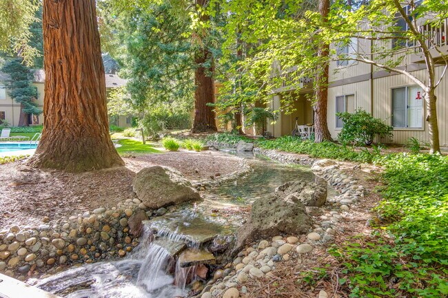 Building Photo - Fully Furnished Condo near Downtown Mountain View & Stevens Creek Trail