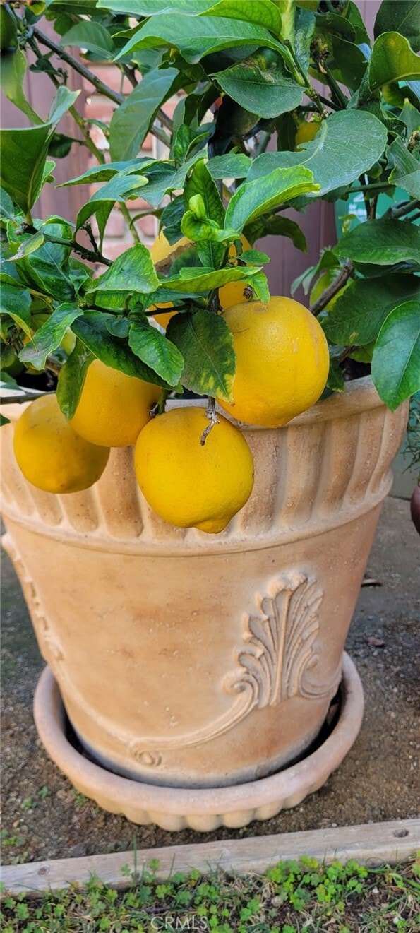 Building Photo - 901 23rd St