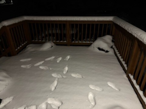 Building Photo - 672 Center St