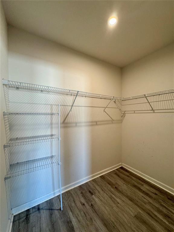 Building Photo - 217 Fiddlewood Ct