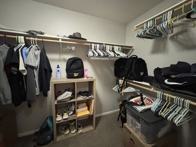 Building Photo - Gorgeous 3 Bedroom 2 Bathroom House!