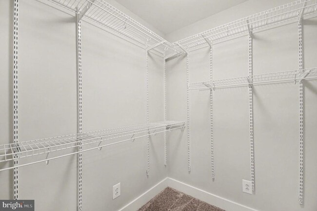 Building Photo - 24 Lipscomb Ct