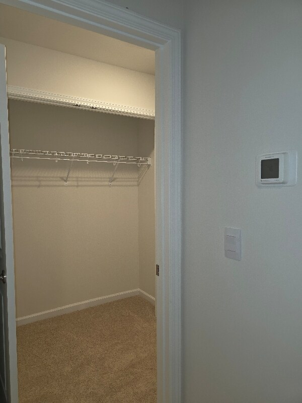 Building Photo - 408 Honeycutt Oaks Dr