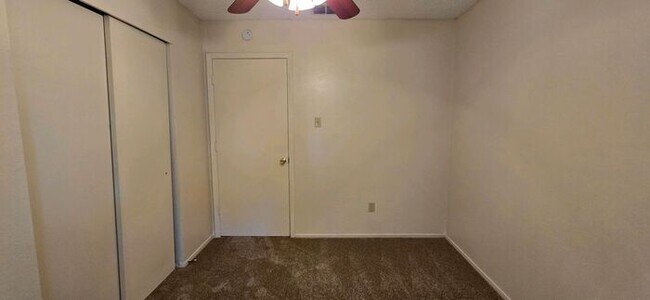Building Photo - Newly Updated 2 Bedroom 1 Bath Apartment in Hallsville!