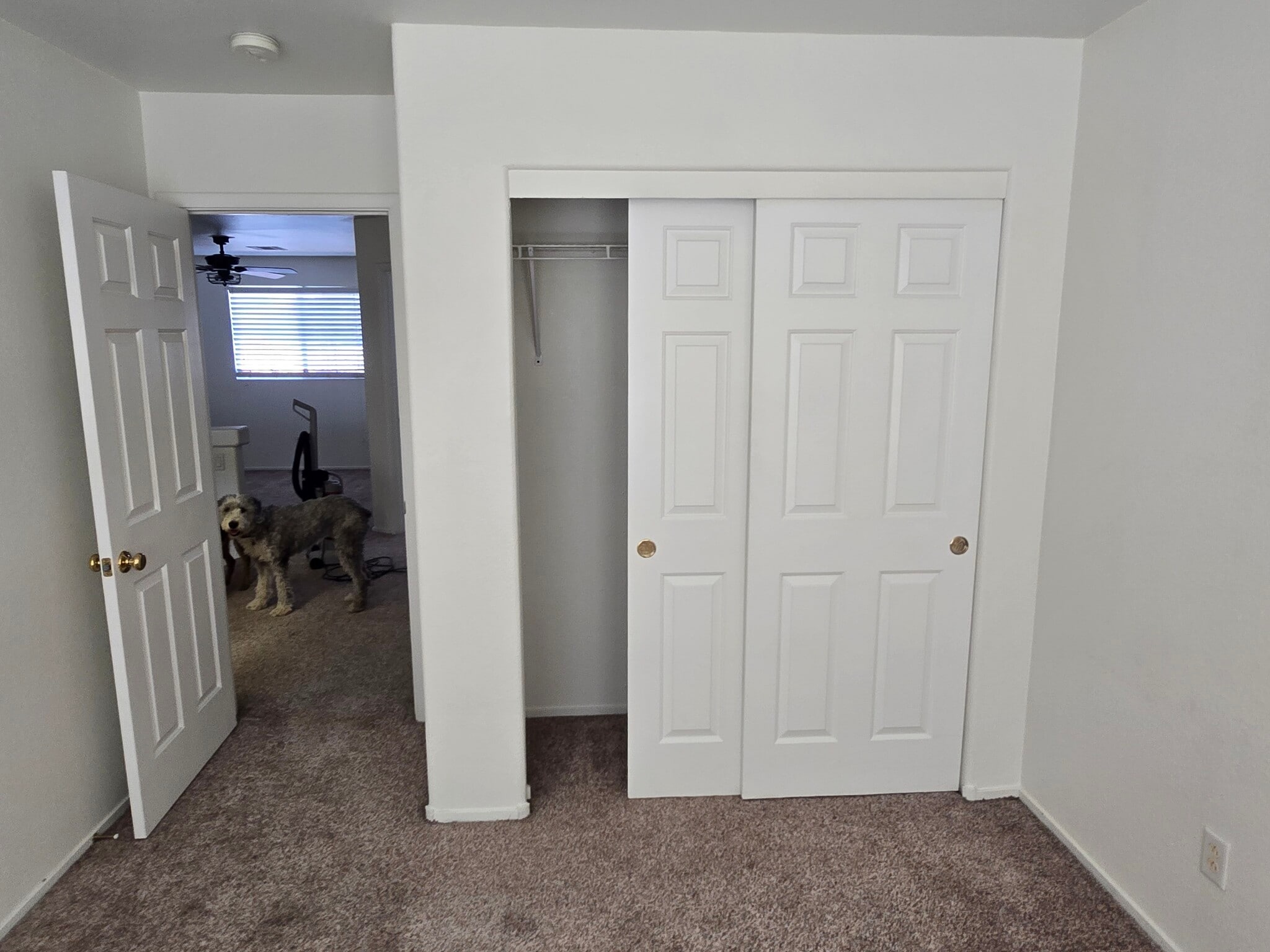 Bedroom 2 - 9579 Camelback Peak Ct