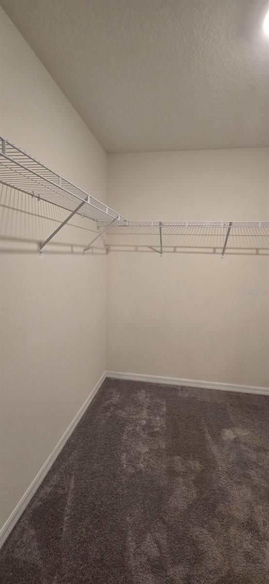 Building Photo - 8557 Triumph Cir