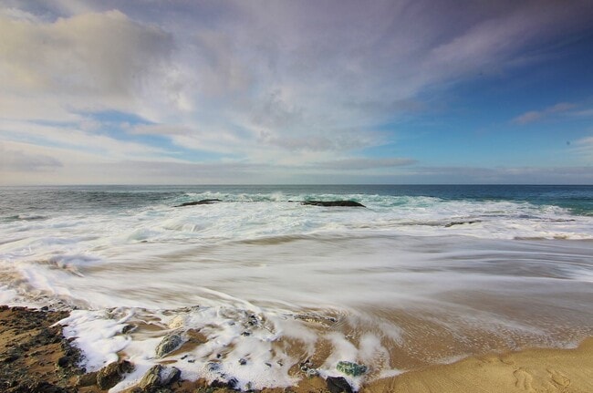 Building Photo - Virginia Way - Mohajer Unit A