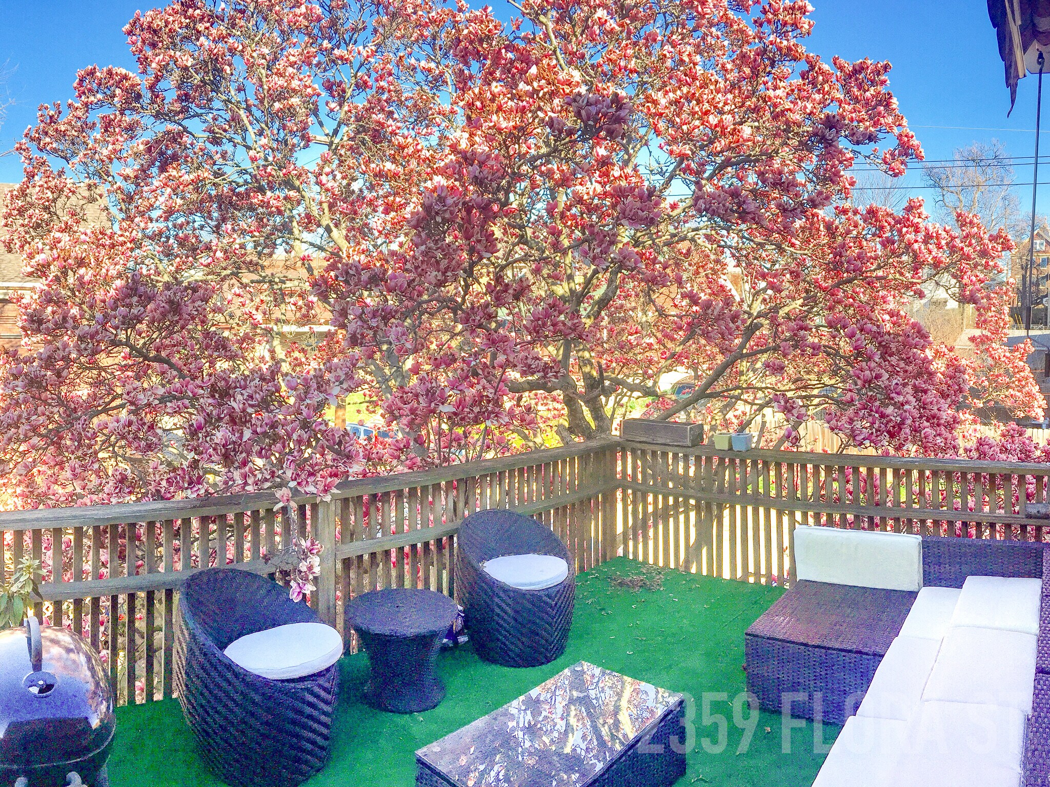 deck - 2359 Flora St