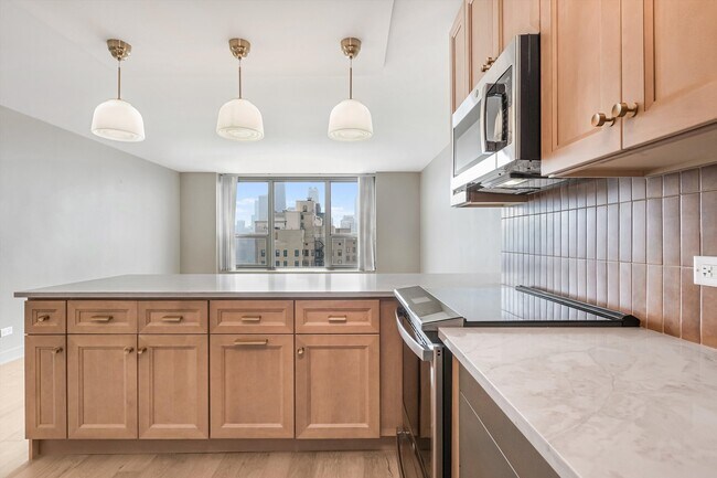 Building Photo - 1550 N Lake Shore Dr