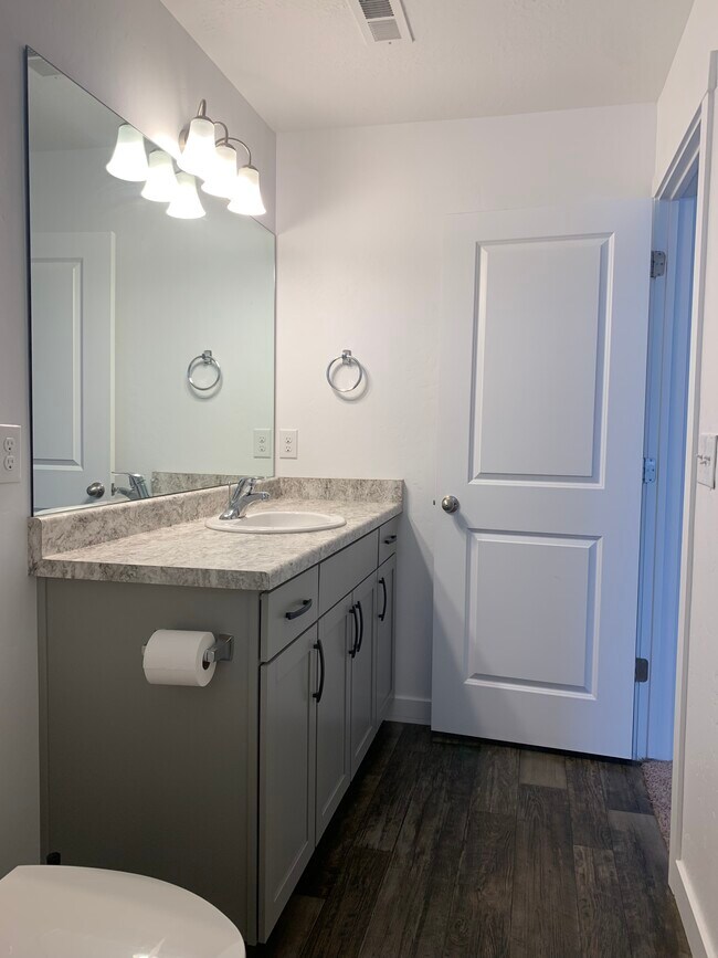 Master bathroom vanity - 14937 S Messi St