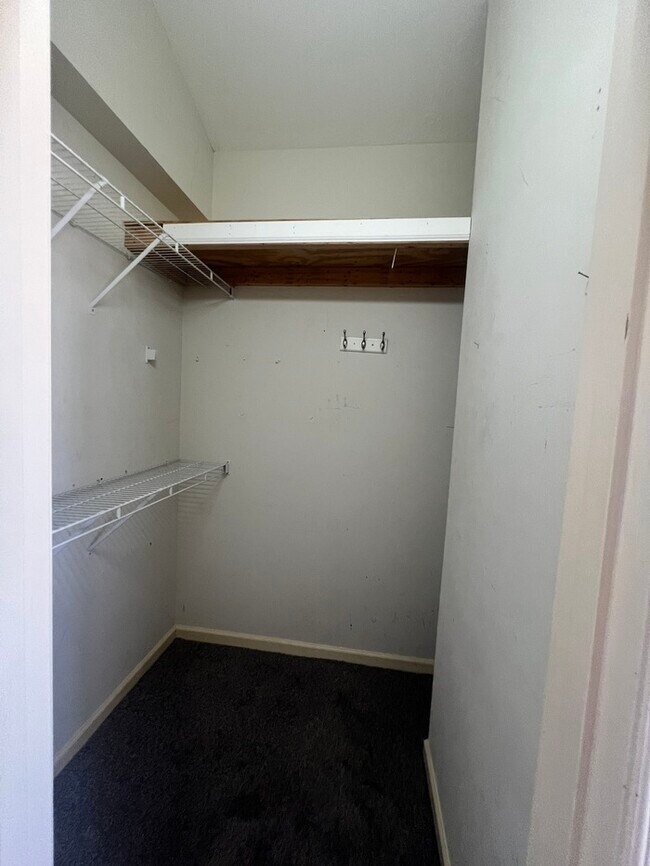 Building Photo - Southern Charm