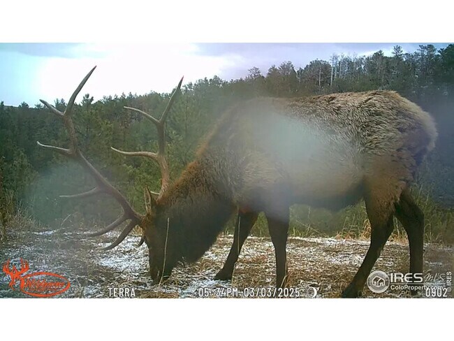 Building Photo - 457 Spruce Mountain Dr