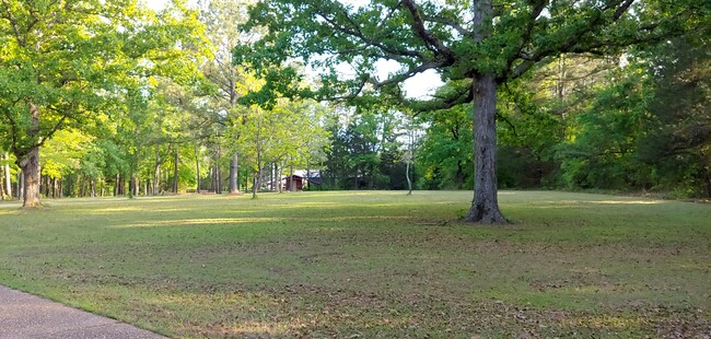 beautiful view of two acres - 3582 Northridge Rd