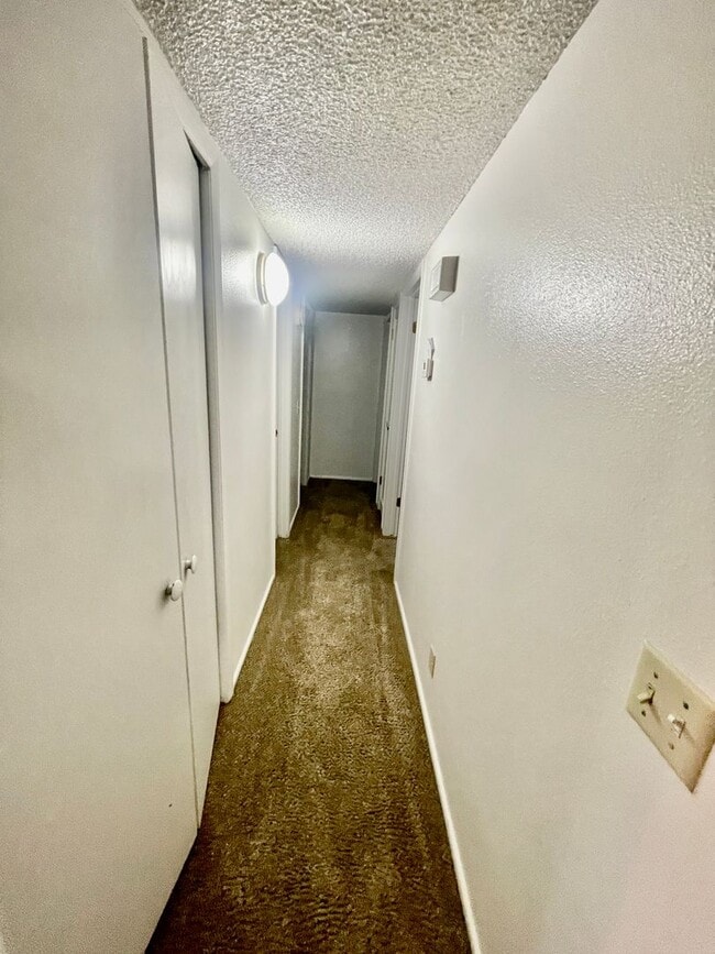 Building Photo - 3-BR Basement Duplex in Santa Clara