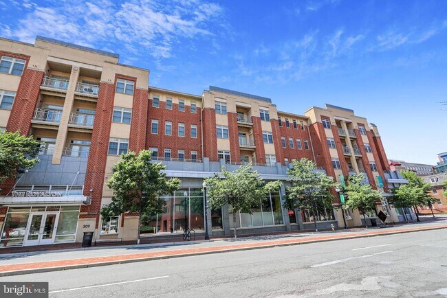 Building Photo - 309 Holland Ln