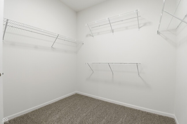 Building Photo - 2863 Piper Pl