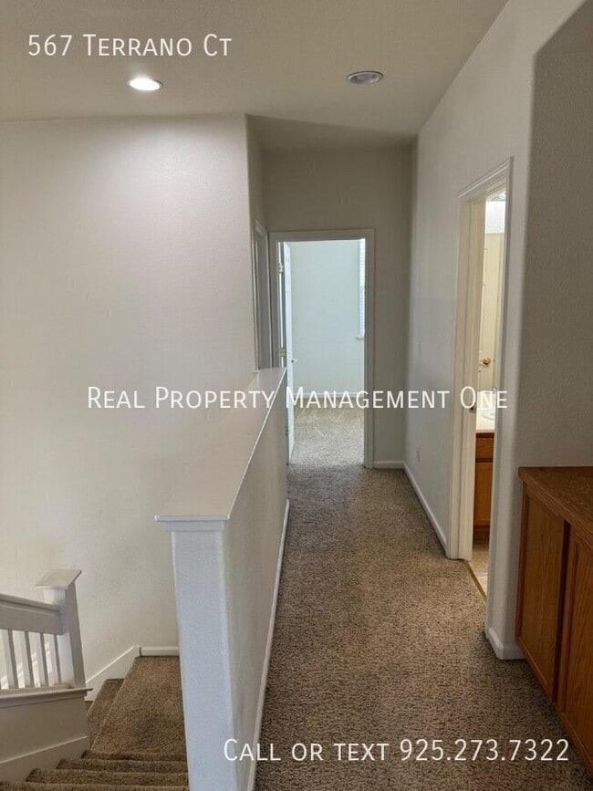 Building Photo - 567 Terrano Ct