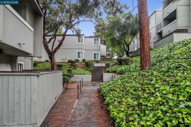 Building Photo - 1333 N Camino Alto