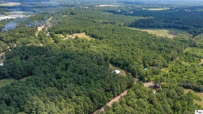 Building Photo - 281 Williams Rd