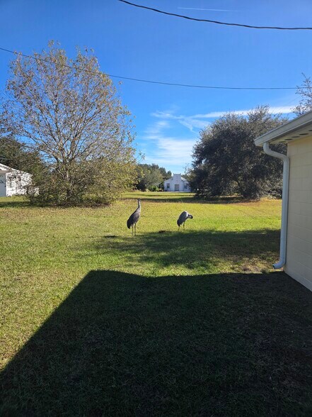 Spacious Backyard - 803 E Hart St