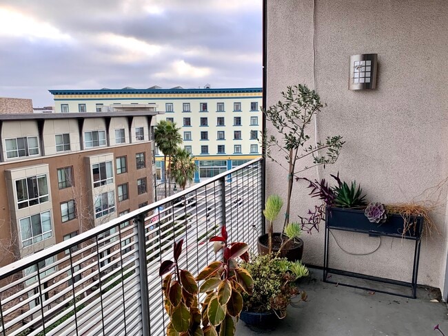 We grew to love our balcony plants - 630 Thomas L Berkley Way