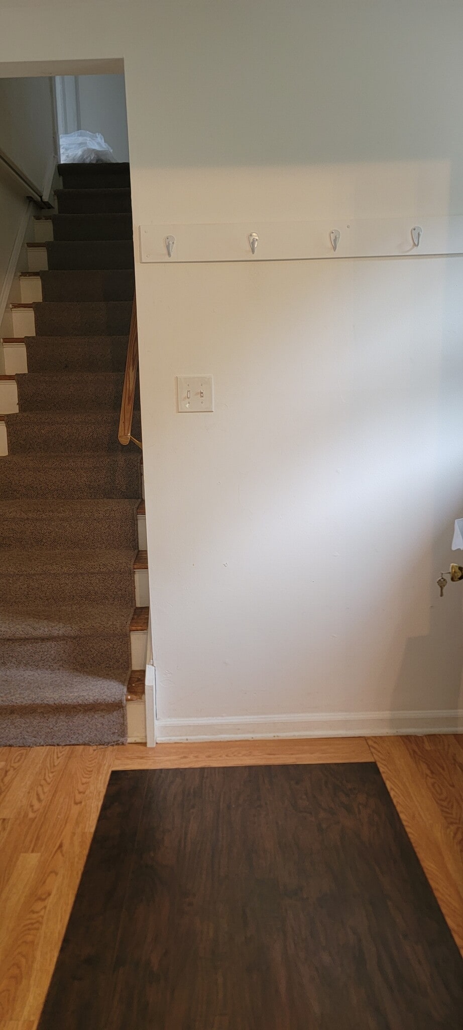 Private entry with stairs to upstairs - 20 E Spring St