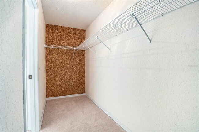 Building Photo - 1247 Venetia Dr