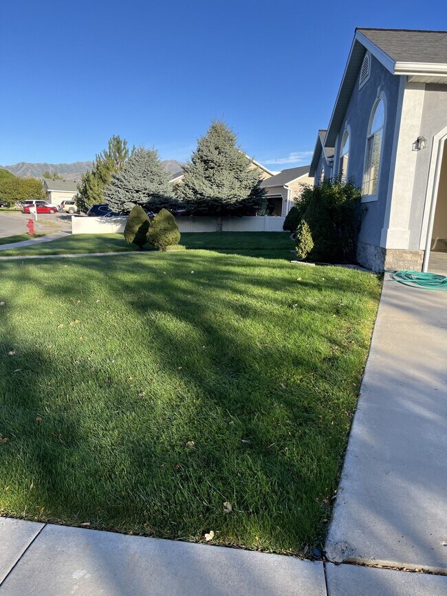 Building Photo - 1517 Falcon Ln
