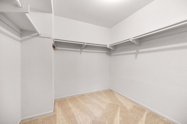 Building Photo - Spacious 3-Bedroom Home In the Community of Montecito, Rancho San Diego!