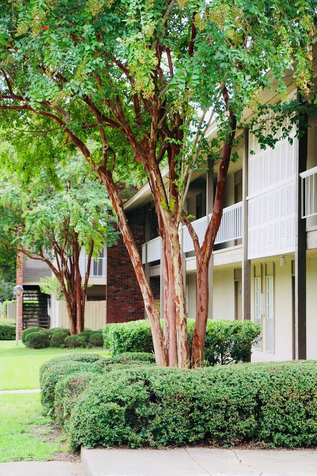 Building Photo - River Bend Apartments