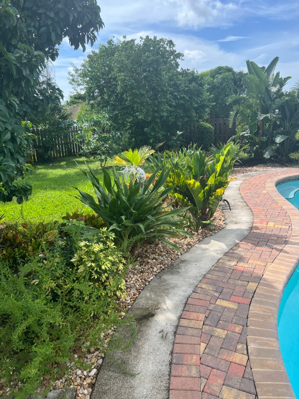 Building Photo - 1 Alcazar St