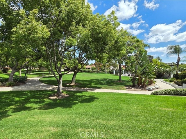 Building Photo - 20 Senisa