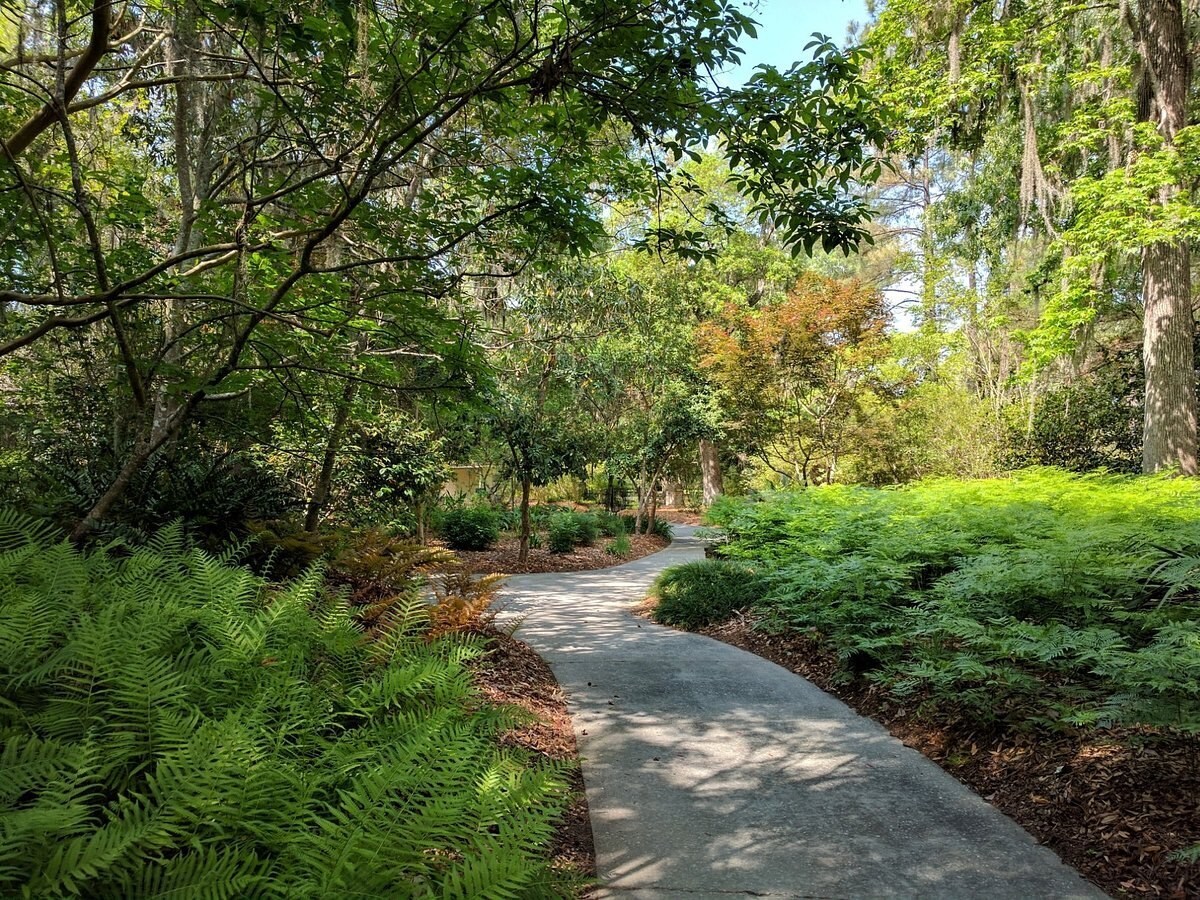 Building Photo - 160 Morning Line Dr