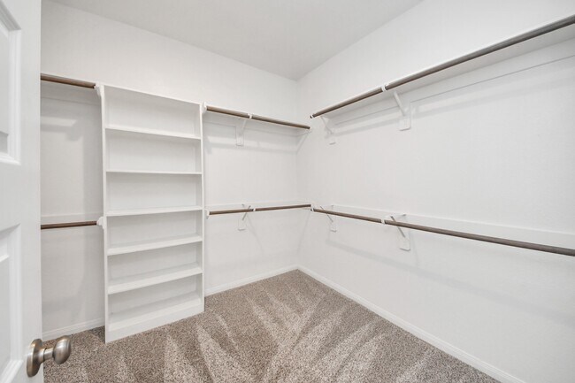 Building Photo - 1122 Muscadine Hollow Ln