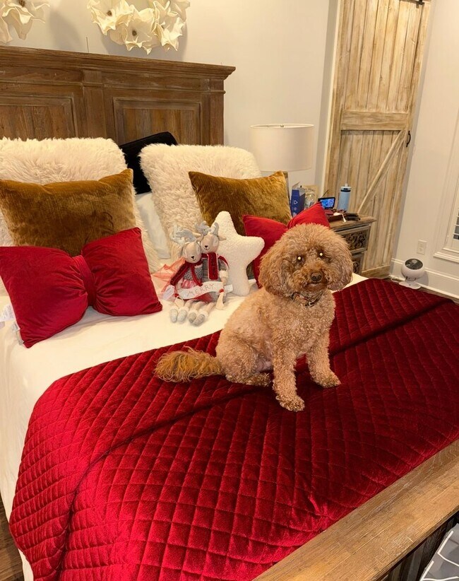 Building Photo - Nice two bedroom condo on one level in Hermitage