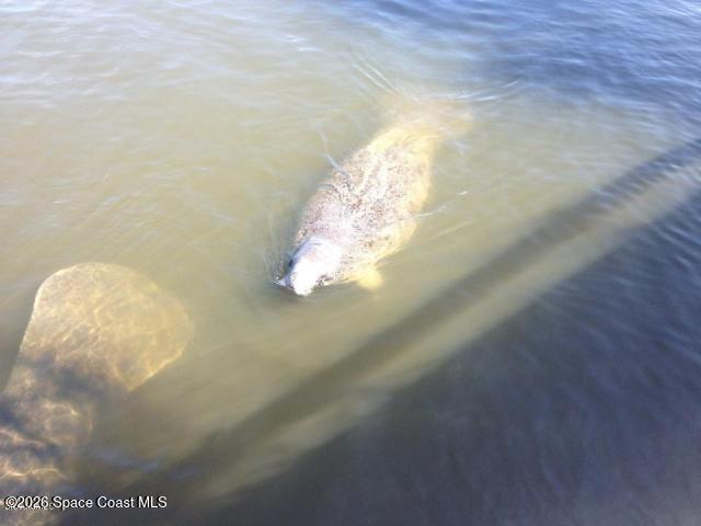 Building Photo - 3 Indian River Ave