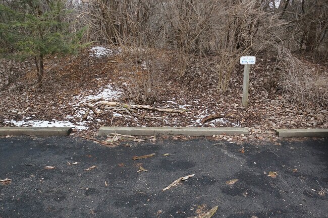 Building Photo - 1617 Maple Terrace