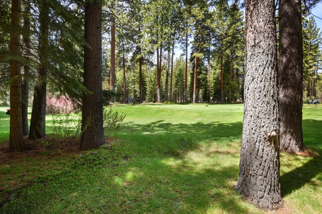 Building Photo - 531 Brassie Ave