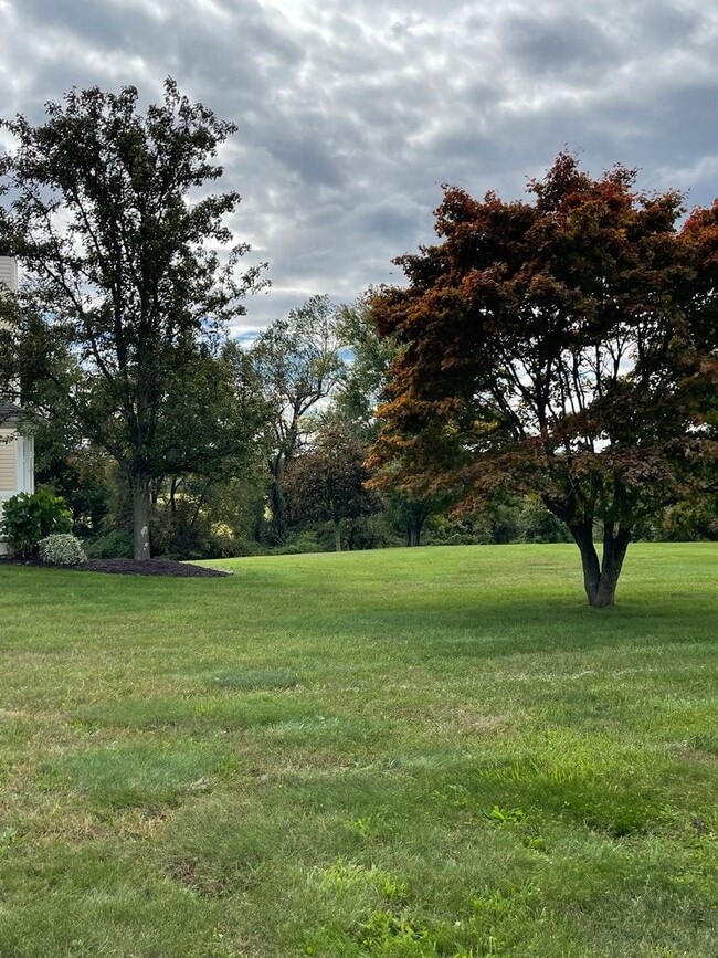 Building Photo - COMING SOON - Country Setting located betw...