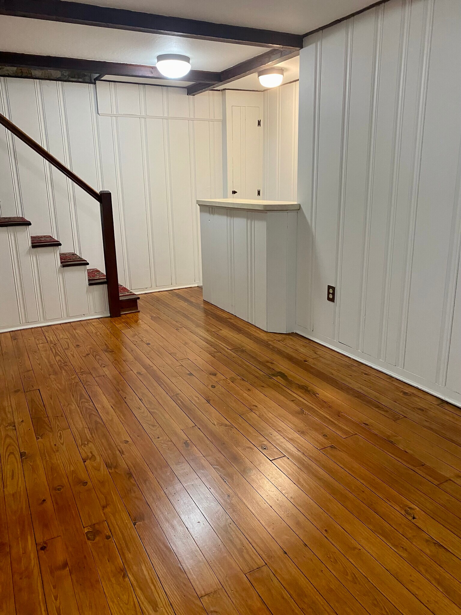 Basement - 1632 Greenleaf St