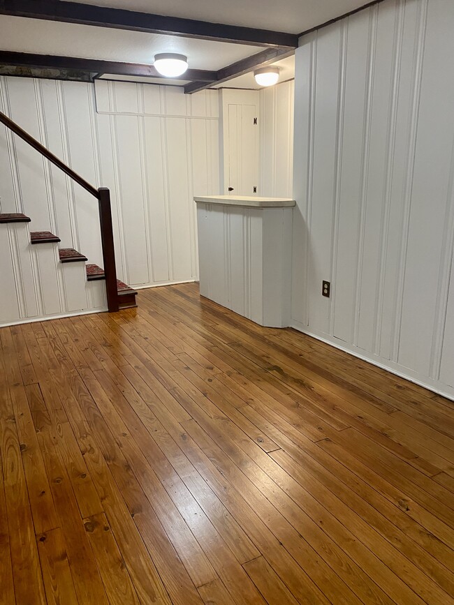 Basement - 1632 Greenleaf St