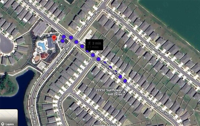 Building Photo - 35950 Sunflower Hl Dr