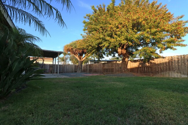 Building Photo - 3/2 house in Clairemont! Fenced in back ya...