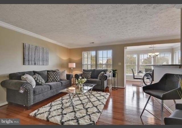 living room 2 - 705 Harvest Run Dr