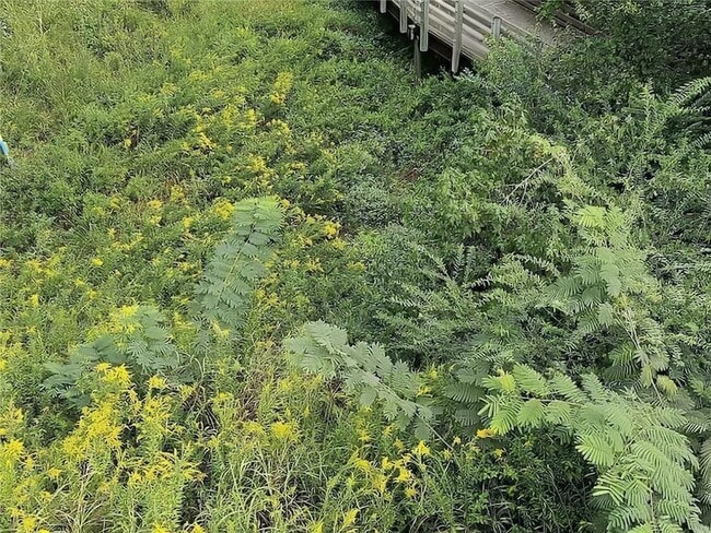 Building Photo - 4249 Tin Hare Ln