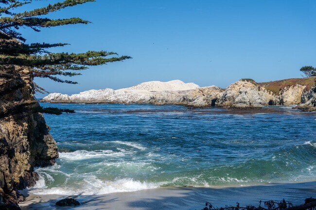 Building Photo - Bonnie's Point | Home Next to Point Lobos State Natural Reserve