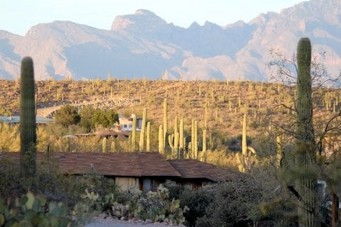 Building Photo 2 - Las Lomas