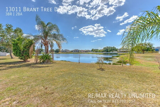 Building Photo - 13011 Brant Tree Dr