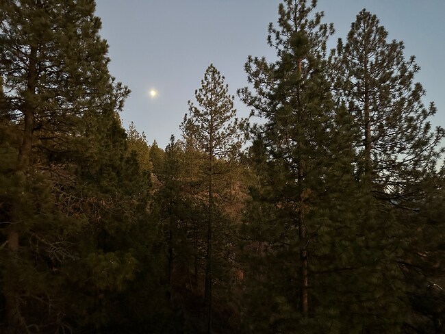 Building Photo - 19602 E Onyx Ln